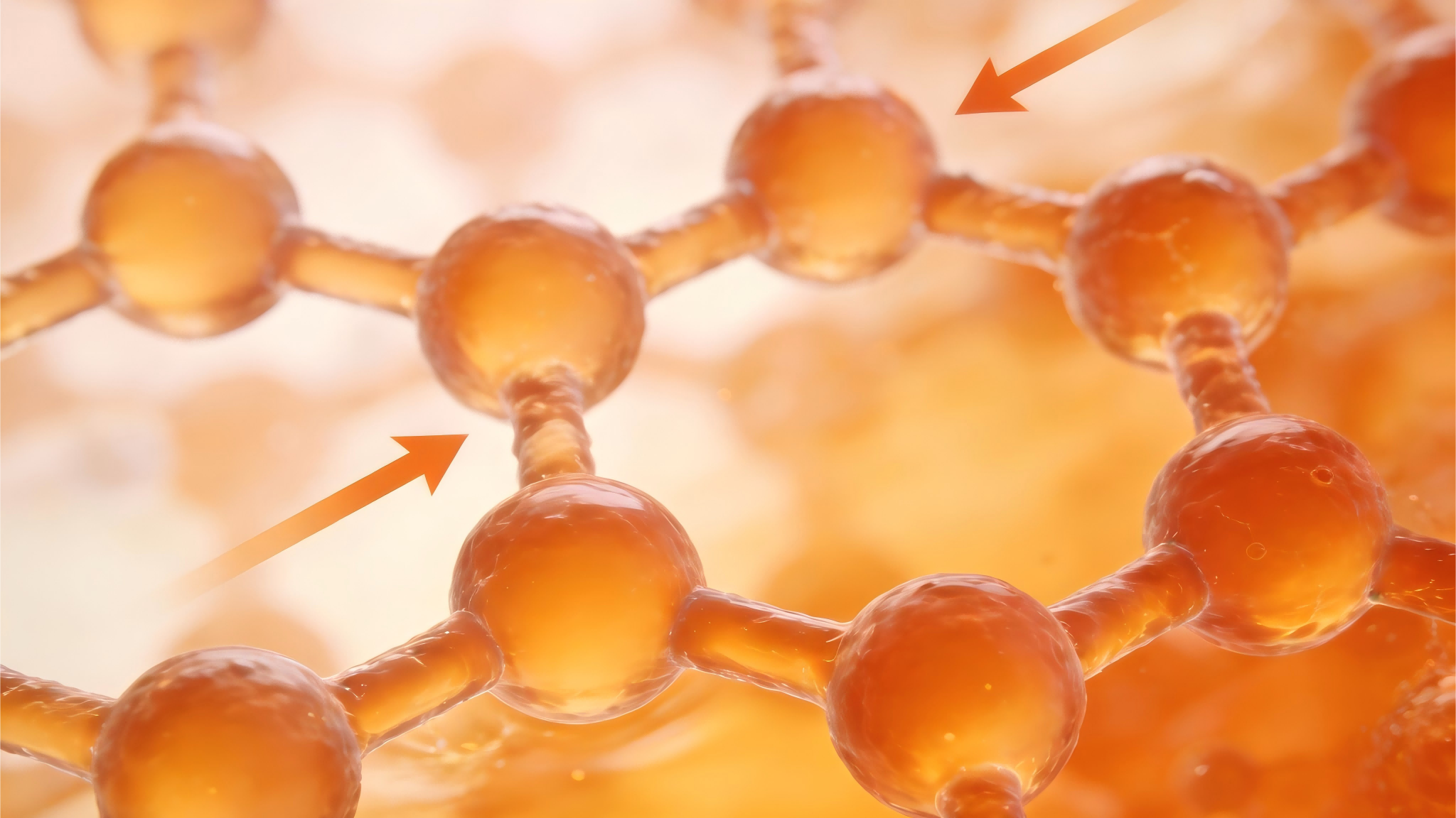 处理原图 (2).png